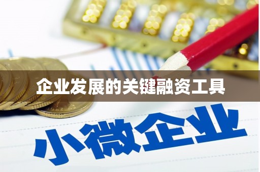 巴楚企业发展的关键融资工具