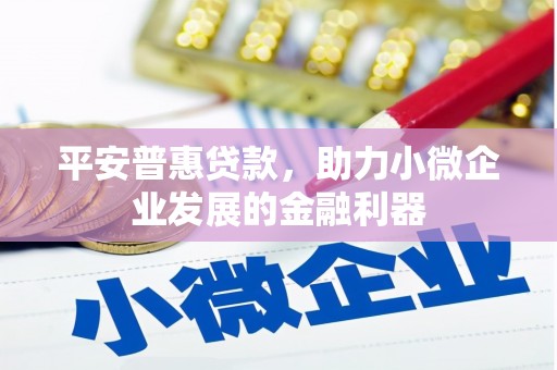 巴楚平安普惠贷款，助力小微企业发展的金融利器