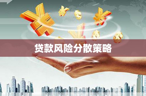 巴楚贷款风险分散策略