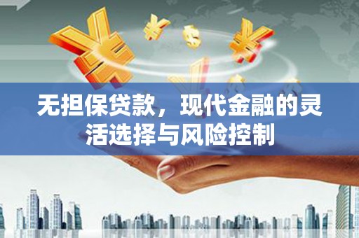 巴楚无担保贷款，现代金融的灵活选择与风险控制