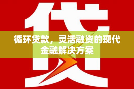 巴楚循环贷款，灵活融资的现代金融解决方案