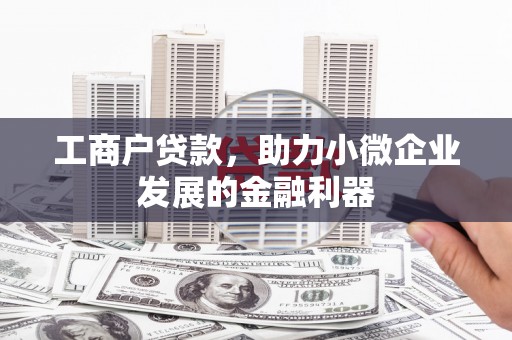 巴楚工商户贷款，助力小微企业发展的金融利器
