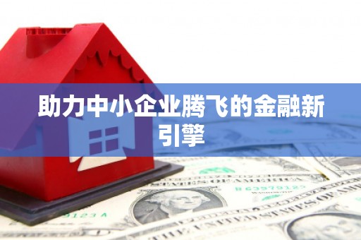 巴楚助力中小企业腾飞的金融新引擎