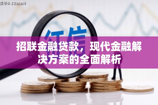 巴楚招联金融贷款，现代金融解决方案的全面解析