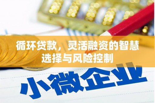 巴楚循环贷款，灵活融资的智慧选择与风险控制
