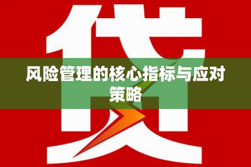 巴楚风险管理的核心指标与应对策略