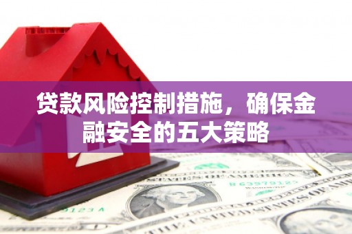 巴楚贷款风险控制措施，确保金融安全的五大策略