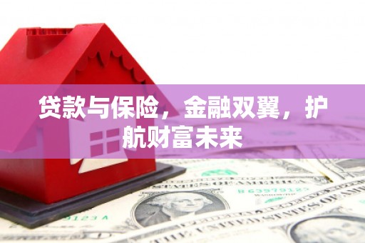 巴楚贷款与保险，金融双翼，护航财富未来