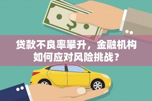 巴楚贷款不良率攀升，金融机构如何应对风险挑战？