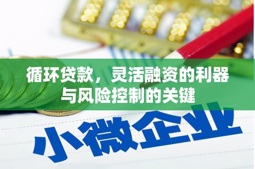 巴楚循环贷款，灵活融资的利器与风险控制的关键
