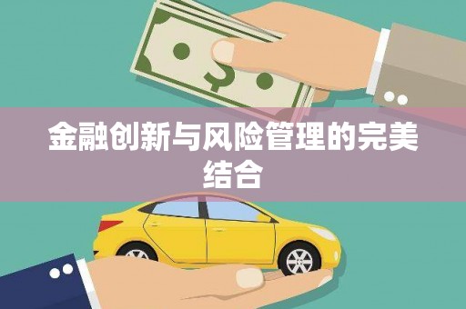 巴楚金融创新与风险管理的完美结合