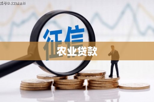 巴楚农业贷款