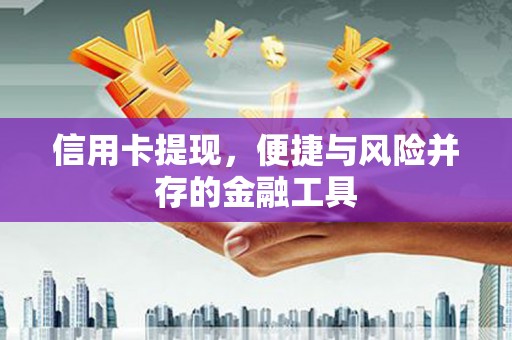 巴楚信用卡提现，便捷与风险并存的金融工具