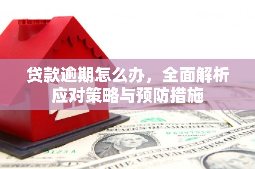 巴楚贷款逾期怎么办，全面解析应对策略与预防措施