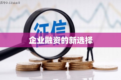 巴楚企业融资的新选择
