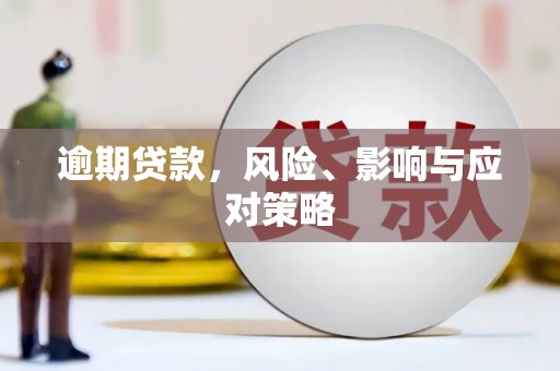 巴楚逾期贷款，风险、影响与应对策略