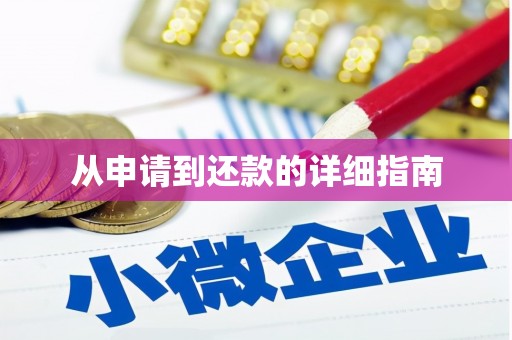 巴楚从申请到还款的详细指南