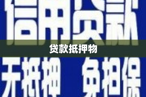 巴楚贷款抵押物