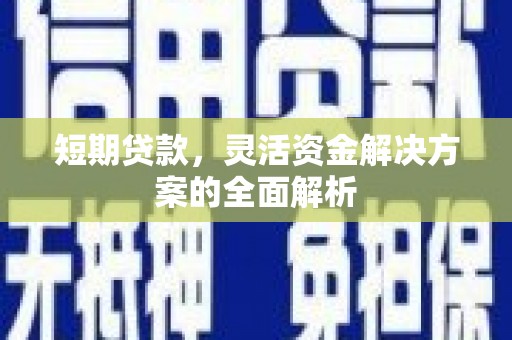 巴楚短期贷款，灵活资金解决方案的全面解析