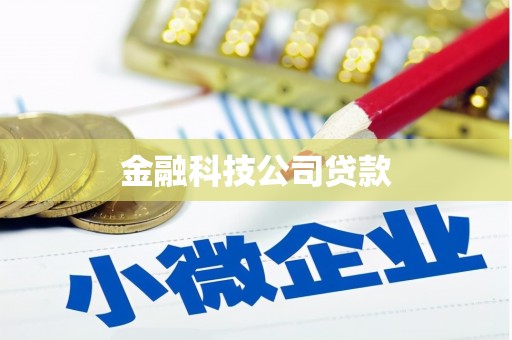 巴楚金融科技公司贷款