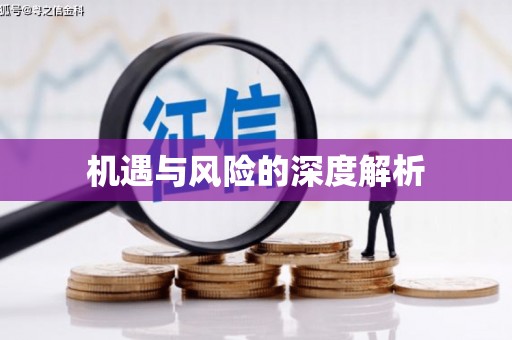 巴楚机遇与风险的深度解析