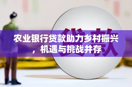 巴楚农业银行贷款助力乡村振兴，机遇与挑战并存