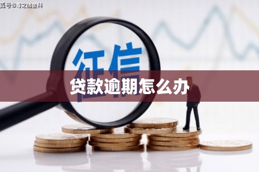 巴楚贷款逾期怎么办