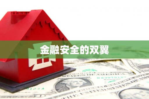 巴楚金融安全的双翼