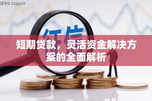 巴楚短期贷款，灵活资金解决方案的全面解析