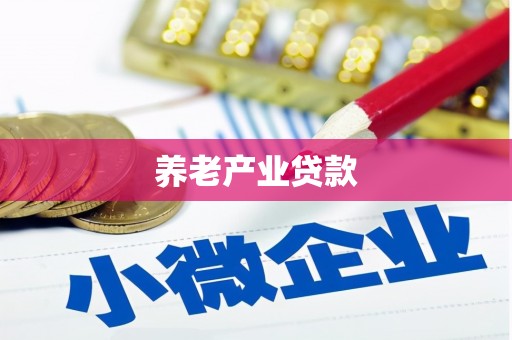 巴楚养老产业贷款