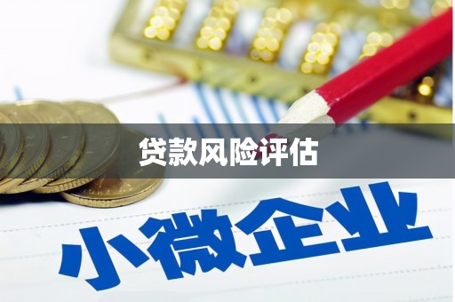 巴楚贷款风险评估