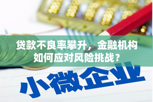 巴楚贷款不良率攀升，金融机构如何应对风险挑战？