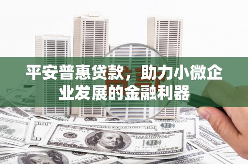 巴楚平安普惠贷款，助力小微企业发展的金融利器