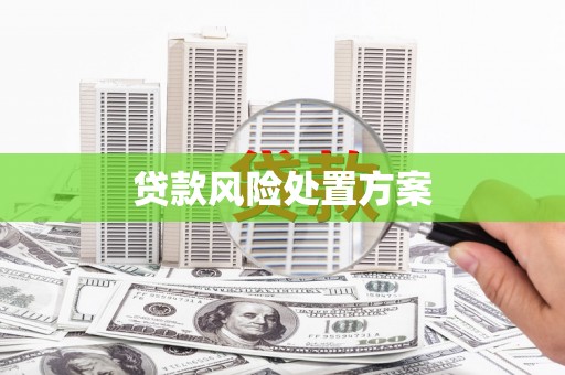 巴楚贷款风险处置方案