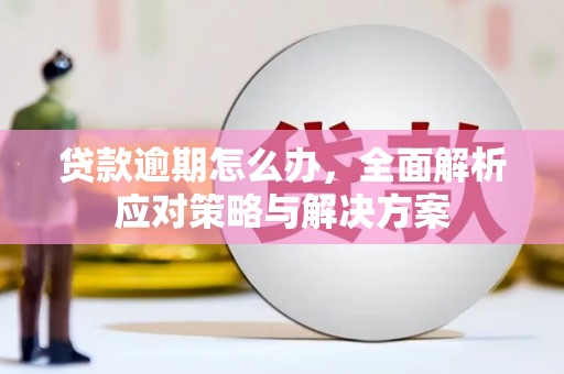 巴楚贷款逾期怎么办，全面解析应对策略与解决方案