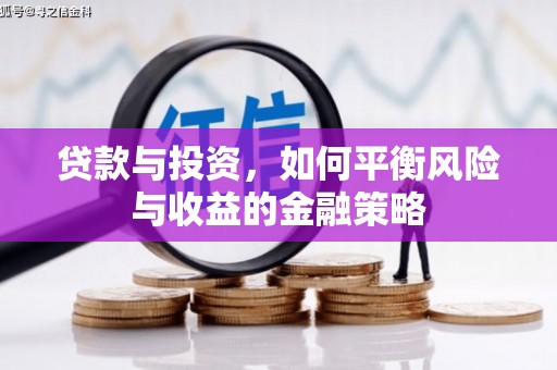 巴楚贷款与投资，如何平衡风险与收益的金融策略