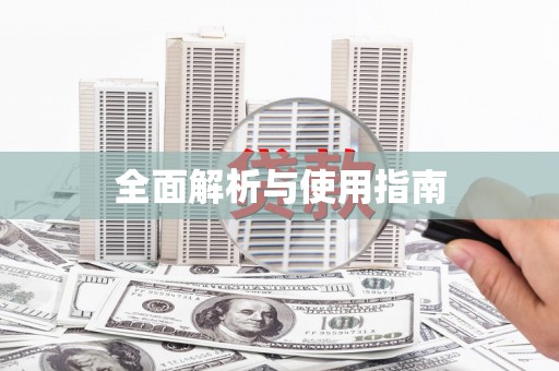 巴楚全面解析与使用指南