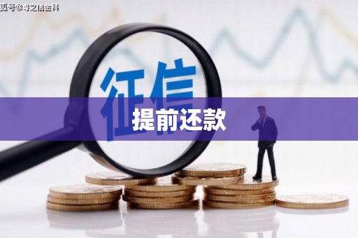 巴楚提前还款