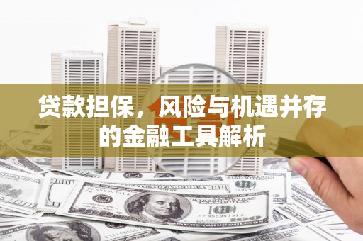 巴楚贷款担保，风险与机遇并存的金融工具解析