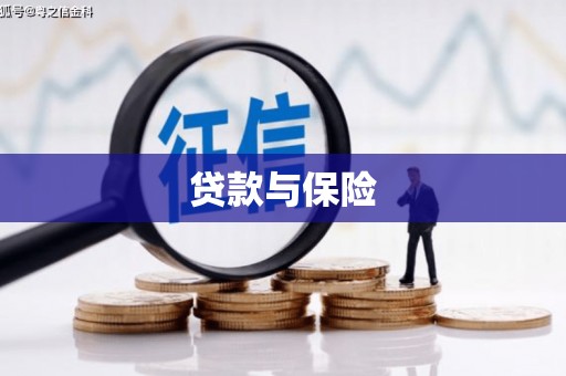 巴楚贷款与保险