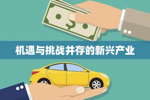 巴楚机遇与挑战并存的新兴产业