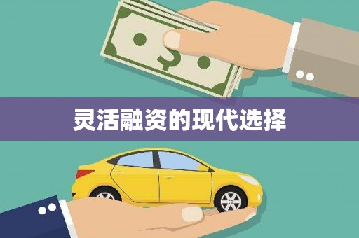 巴楚灵活融资的现代选择