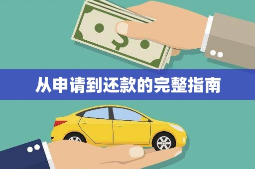 巴楚从申请到还款的完整指南