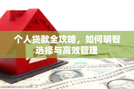 巴楚个人贷款全攻略，如何明智选择与高效管理
