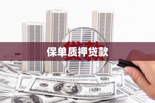 巴楚保单质押贷款