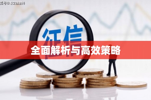 巴楚全面解析与高效策略