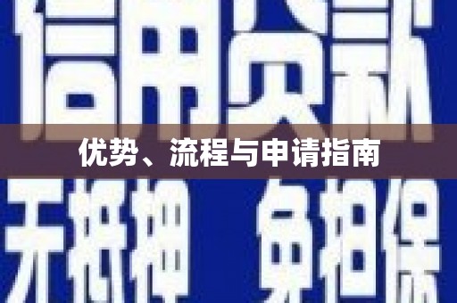 巴楚优势、流程与申请指南