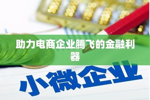 巴楚助力电商企业腾飞的金融利器
