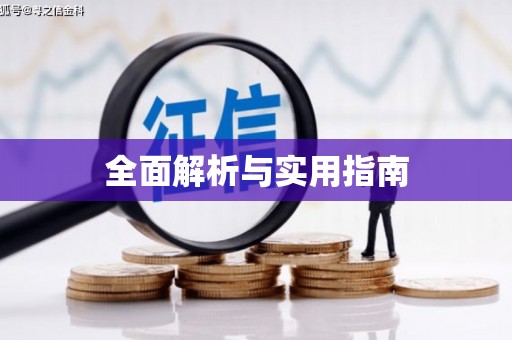 巴楚全面解析与实用指南