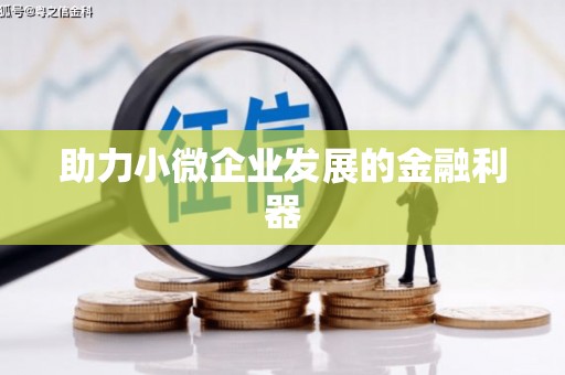 巴楚助力小微企业发展的金融利器